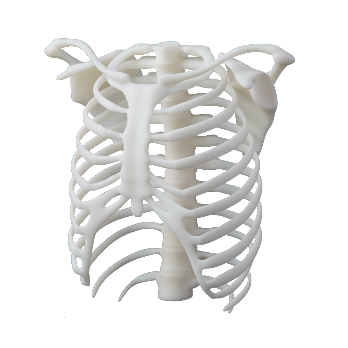 Parts printed in Formlabs White Resin V4.1