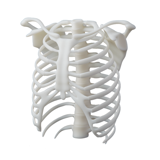 Parts printed in Formlabs White Resin V4.1