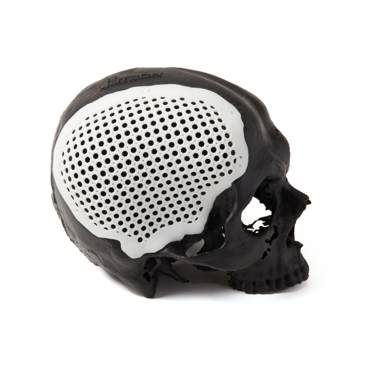 BioMed White Resin (Form 3) 1 L by Formlabs