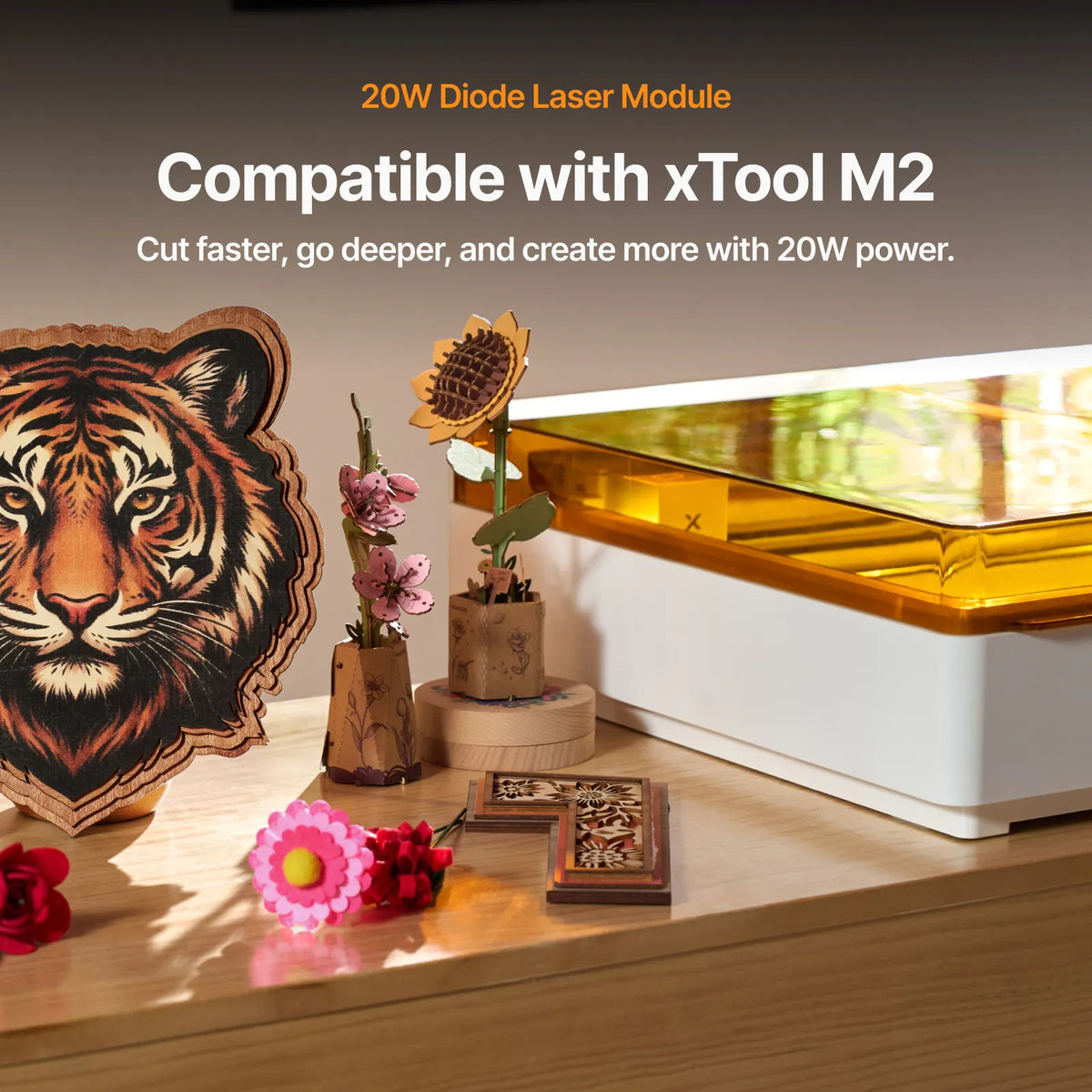 xTool M2 20W 455 nm Diode Module — official xTool product image 4